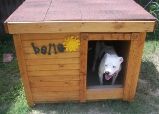 Belle - Texas